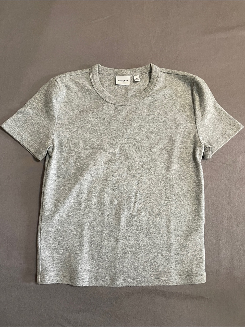 Aritzia Sunday Best Gray Crewneck Short Sleeve Tee